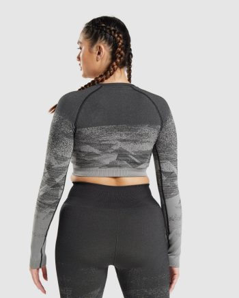 Adapt Ombre Crop Top